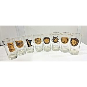 RARE! Vintage Set of 8 Minnesota Heritage Glasses HTF glasses